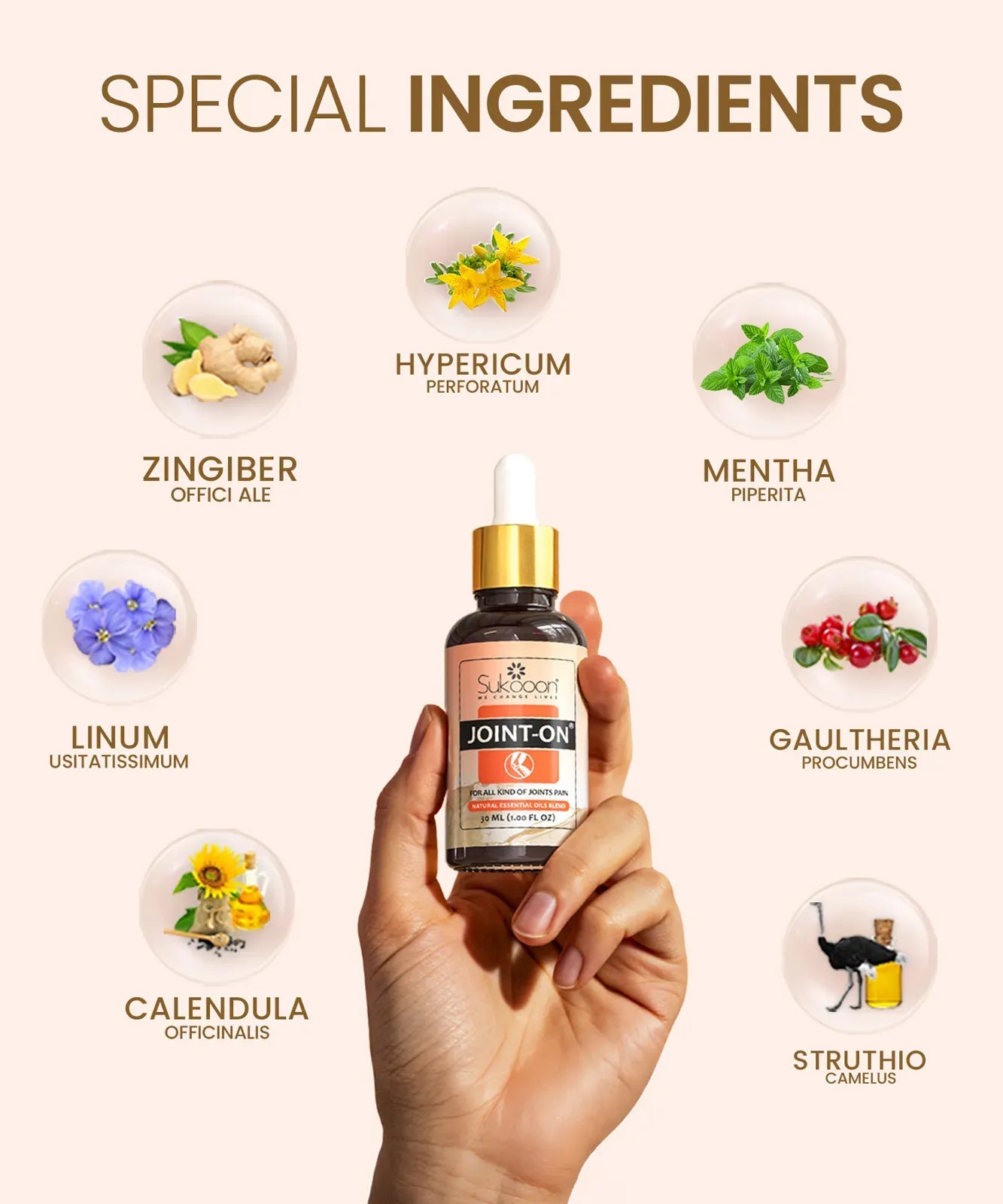 Joint On Oil – Knee & Back Pain Relief